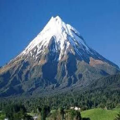 سرم توو گوشیت مریضه مخم نمیری خونت ببرم خونم